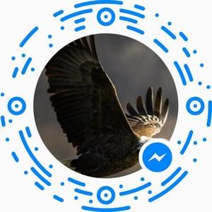 Meet your Posher, Ray